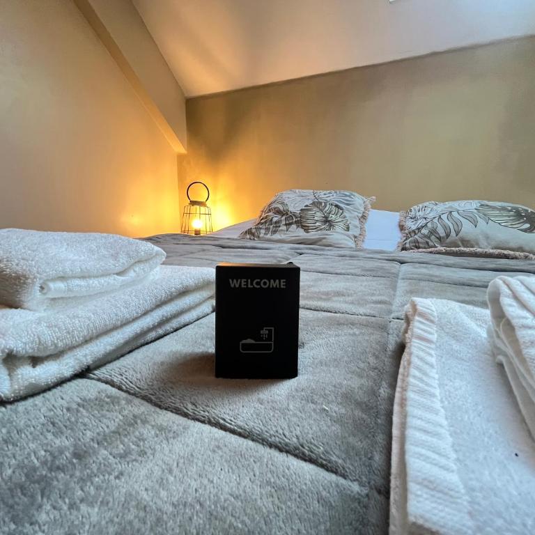 Danton confortable chaleureux proche centre-ville - Appartement 1 Chambre - 29