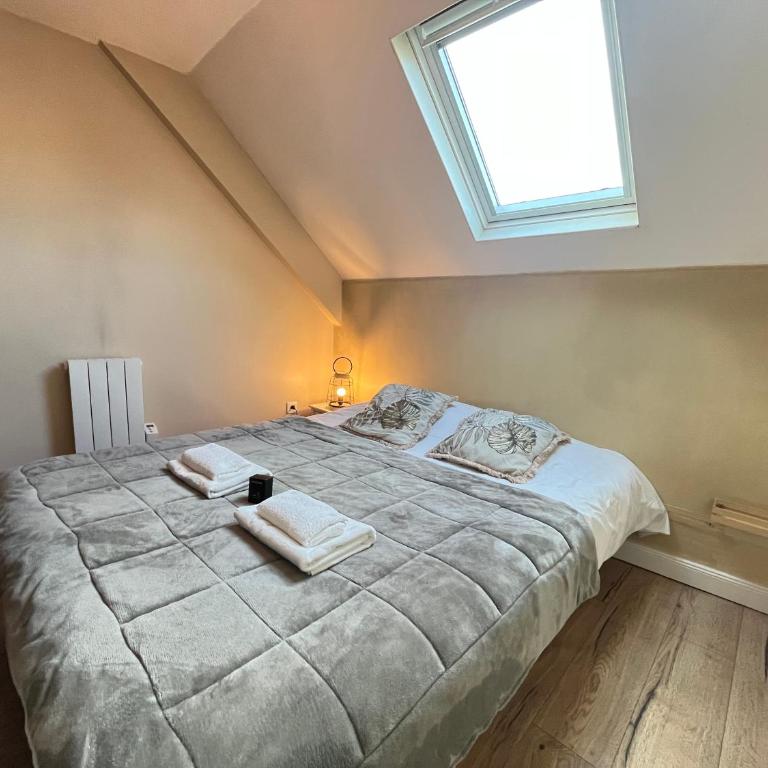 Danton confortable chaleureux proche centre-ville - Appartement 1 Chambre - 28