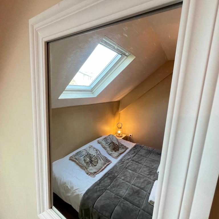 Danton confortable chaleureux proche centre-ville - Appartement 1 Chambre - 31