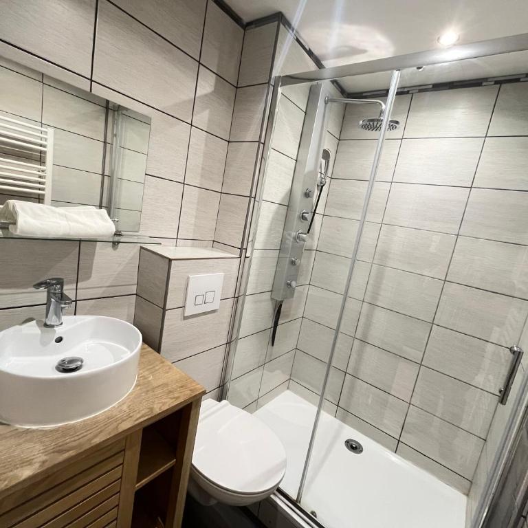Danton confortable chaleureux proche centre-ville - Appartement 1 Chambre - 30