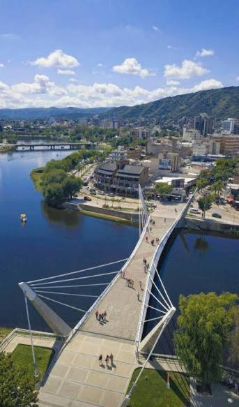 PASEO QUATTRO Torre1 37 - Apartamento de 1 dormitorio - 2