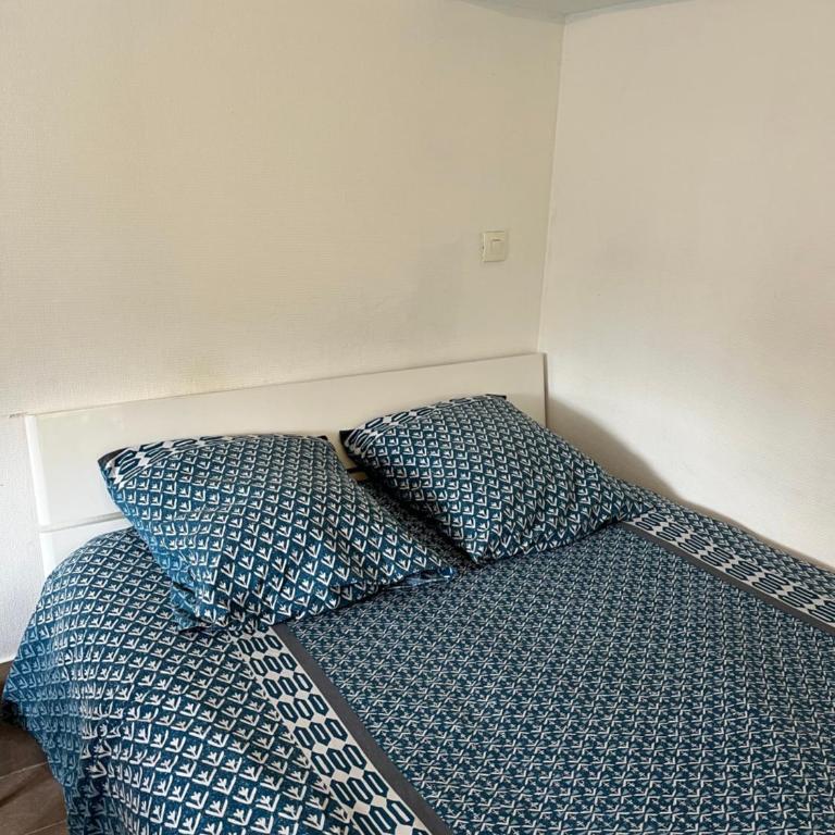 Studio tout confort proche centre et Lac avec 2 vélos prêtés - Doppelzimmer mit Gartenblick - 13