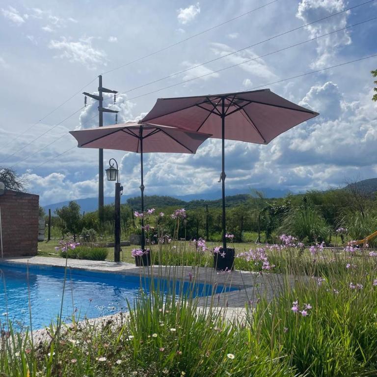 Casa de campo - LA CASA DE LOS PAJARITOS - Casa de 2 dormitorios - 3