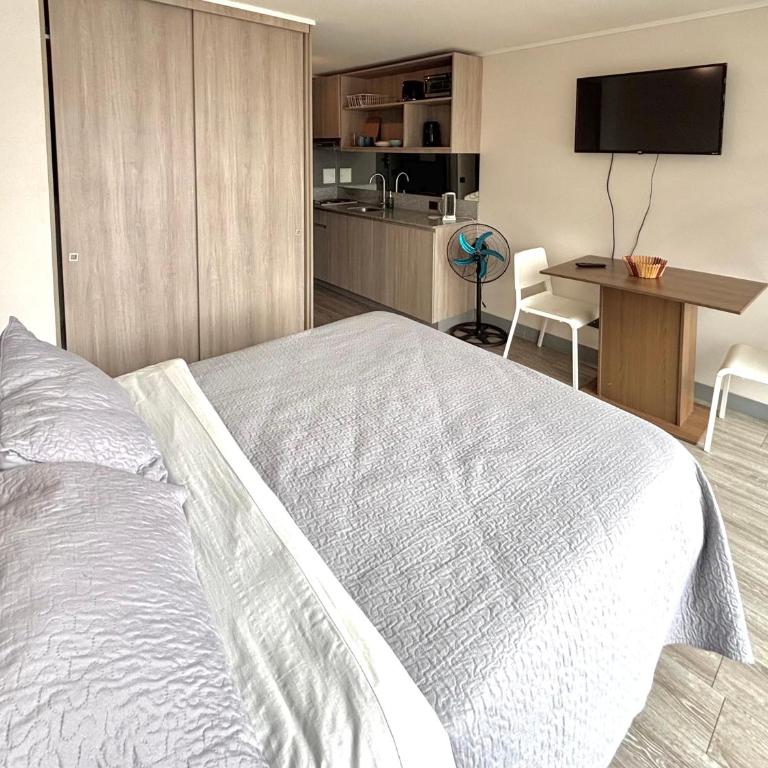 Departamento 2 personas en Calle Bulnes Santiago de Chile - Apartamento de 1 dormitorio - 16