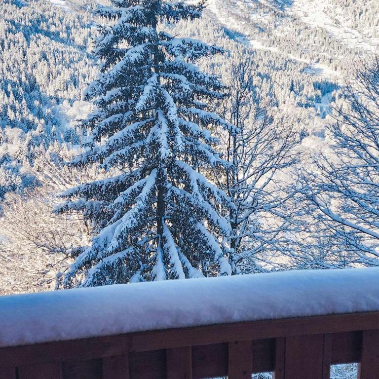 Studio cosy proche pistes - 4 pers. - FR-1-180-599 - Appartement - 30