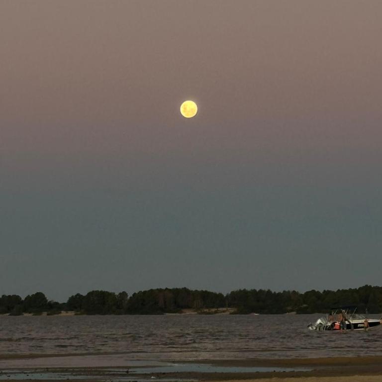 Depto Irigoyen - Apartamento de 1 dormitorio - 14