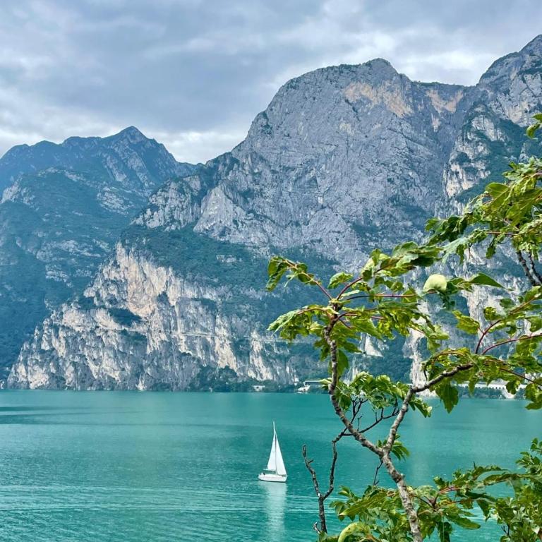 La bougainville - luxury apartment - Apartment mit Seeblick - 71
