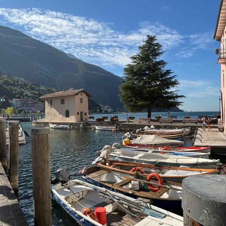 La bougainville - luxury apartment - Apartment mit Seeblick - 70