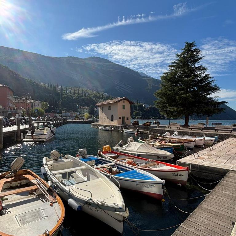 La bougainville - luxury apartment - Apartment mit Seeblick - 51