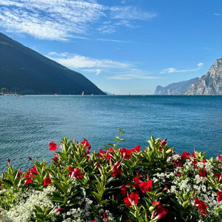 La bougainville - luxury apartment - Apartment mit Seeblick - 69