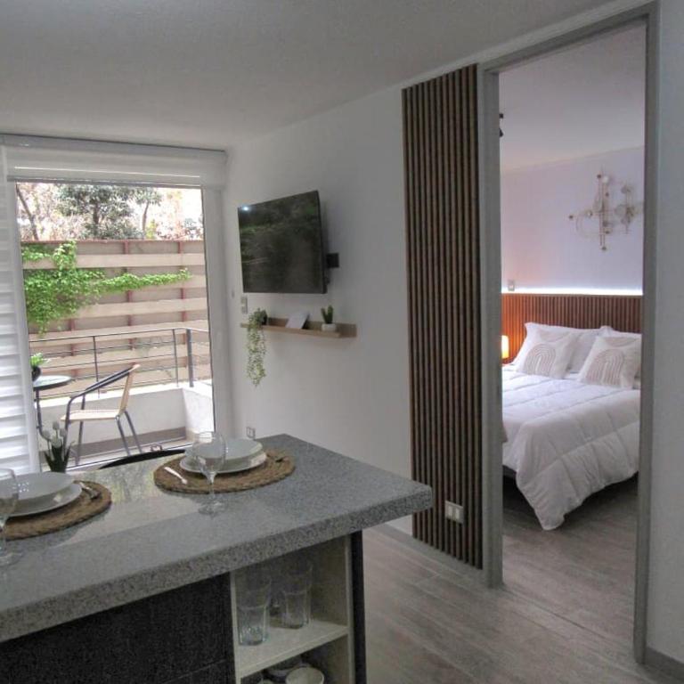 Santiago fun and comfort nearby - One-Bedroom Apartment - 13