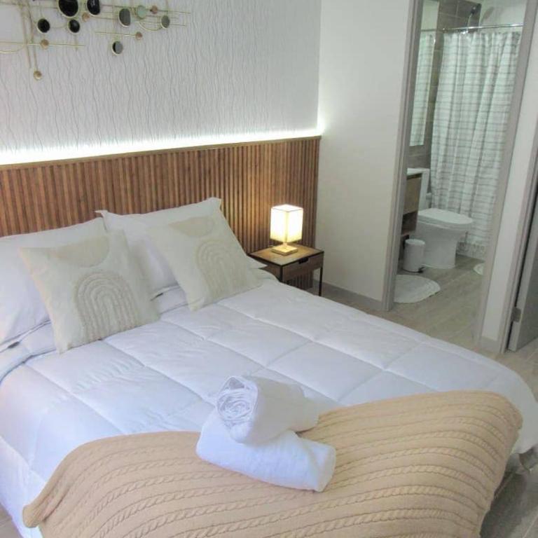 Santiago fun and comfort nearby - One-Bedroom Apartment - 21
