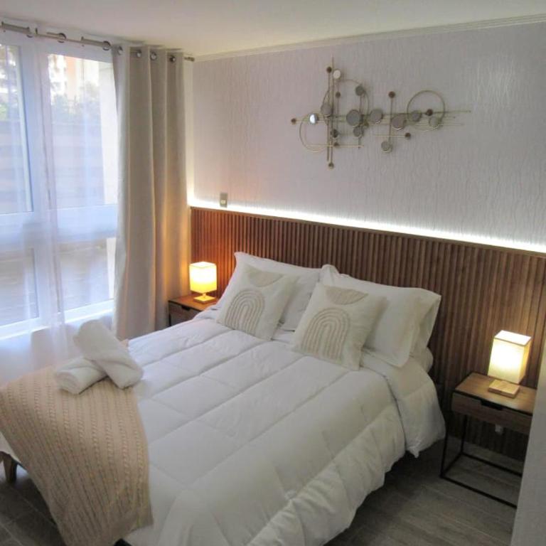 Santiago fun and comfort nearby - One-Bedroom Apartment - 31