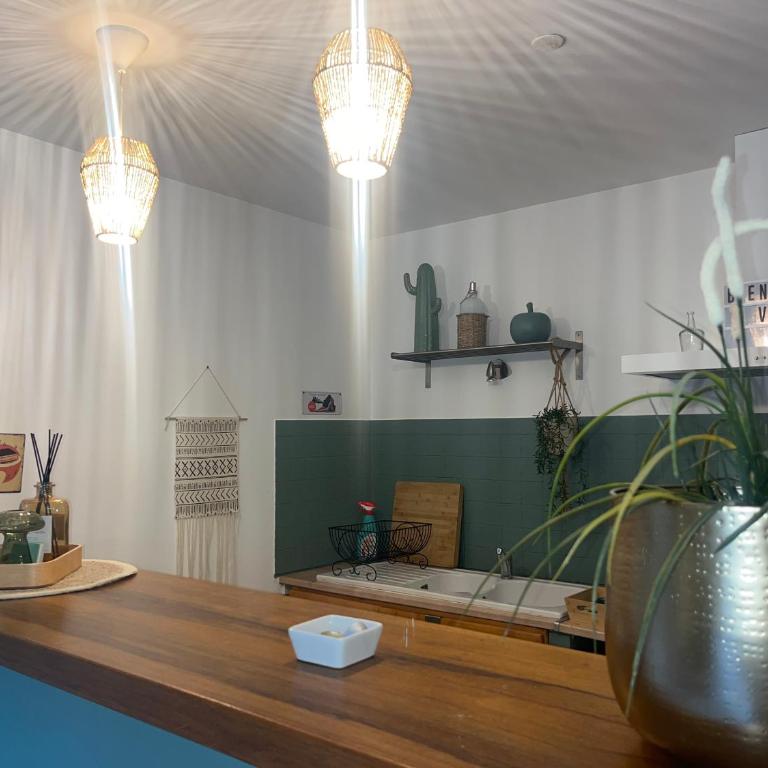 Grand studio en rez de jardin avec terrasse parking motos - Studio avec Terrasse - 15