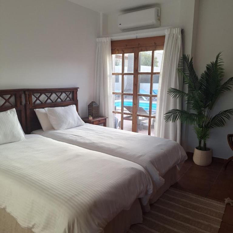Villa Athenea - Villa de 3 dormitorios - 19