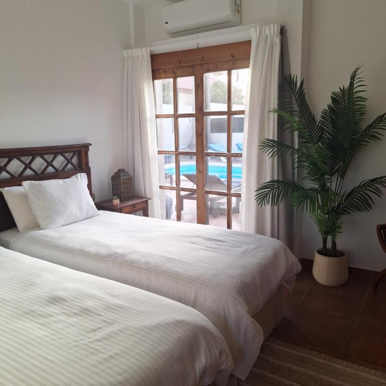 Villa Athenea - Villa de 3 dormitorios - 17