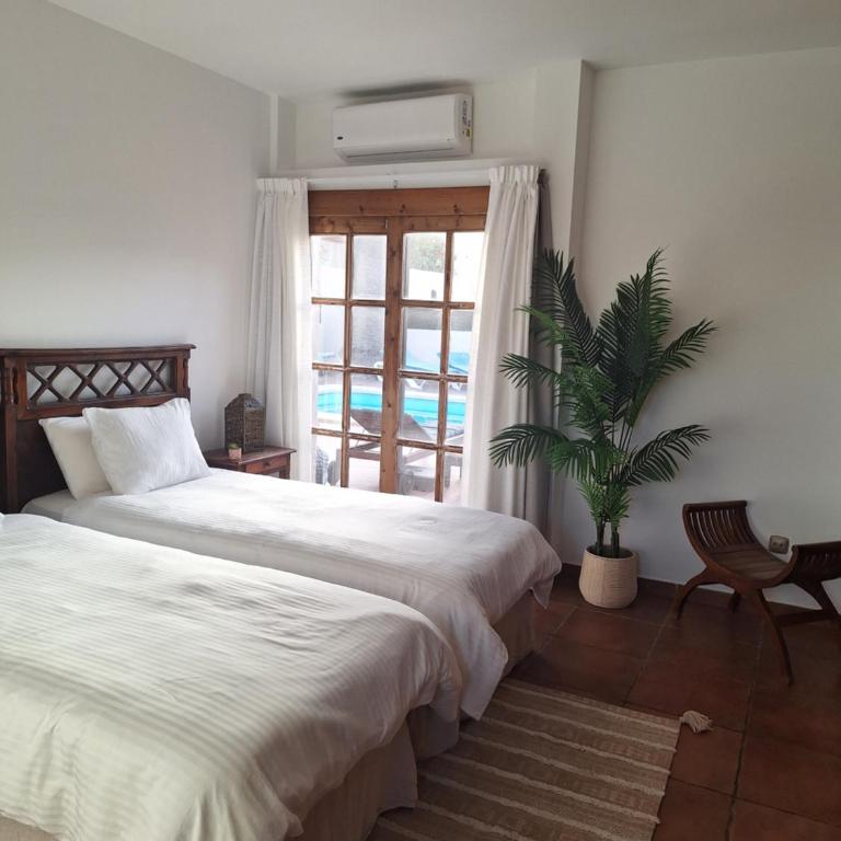 Villa Athenea - Villa de 3 dormitorios - 22
