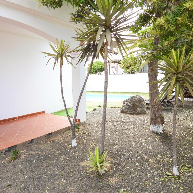 Villa el Roque - Villa de 3 dormitorios - 14