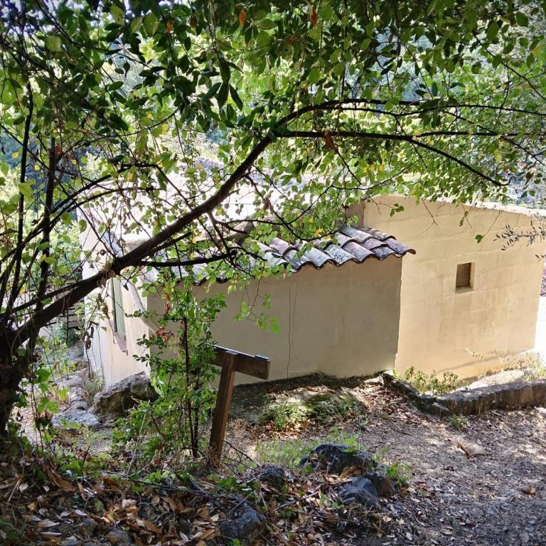 Gîte Le Chalet - Maison 1 Chambre - 33