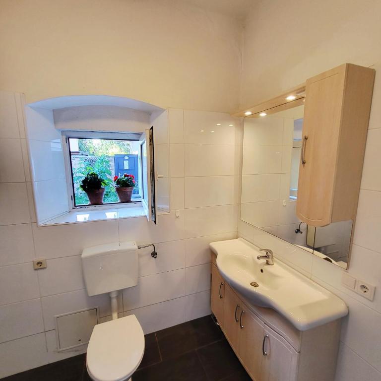 Pine House - Appartamento con 1 Camera da Letto - 13
