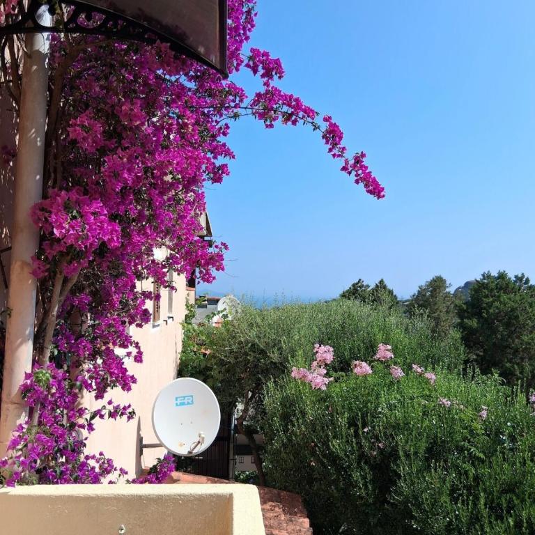 Stella Marina, Porto Rotondo - Appartamento con 1 Camera da Letto - 1