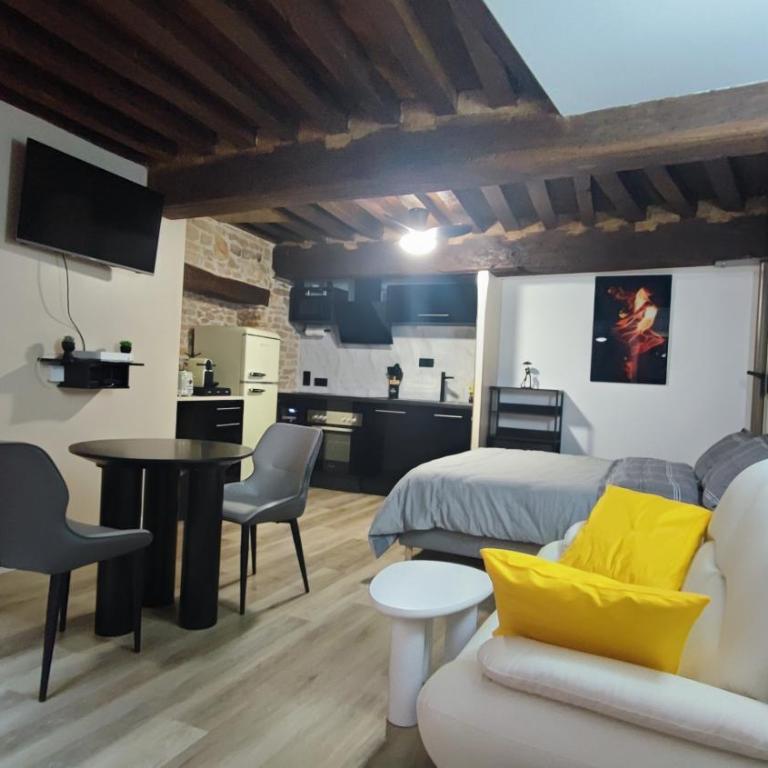 SPA Dijon Historic Center - Unusual - Design - Appartamento con 1 Camera da Letto - 15