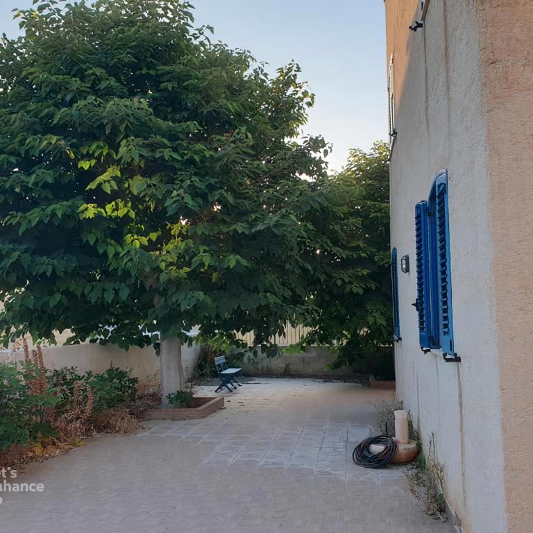 Villa Camilla, a due passi dal mare di Marsala - Vacation Home - 9