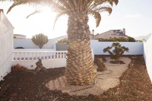 Casa Blanca, Golf Del Sur - Villa - 6