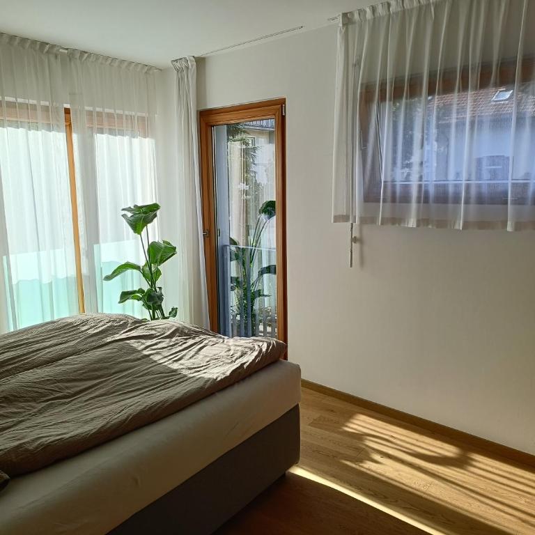 Villa Ehrenburg - Private Apartments - Appartamento con 1 Camera da Letto - 6