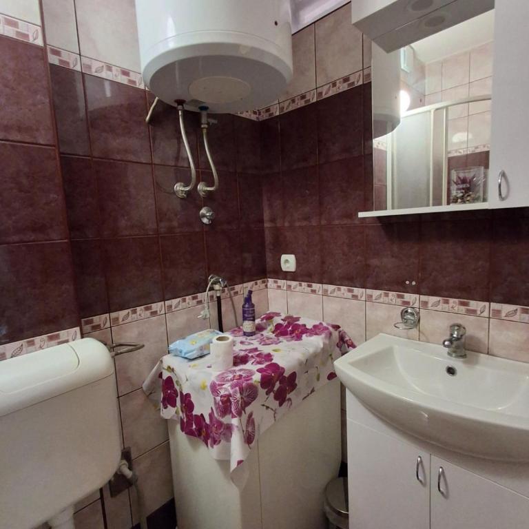 Na korak do Vrbasa - blizu centra - Apartman sa 1 Spavaćom Sobom - 9