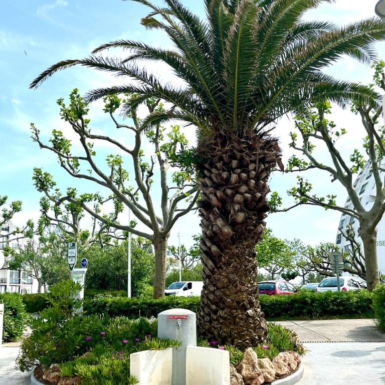 Studio cabines, Vue mer & étang, plage a pied - Studio Apartment with Sea View - 25