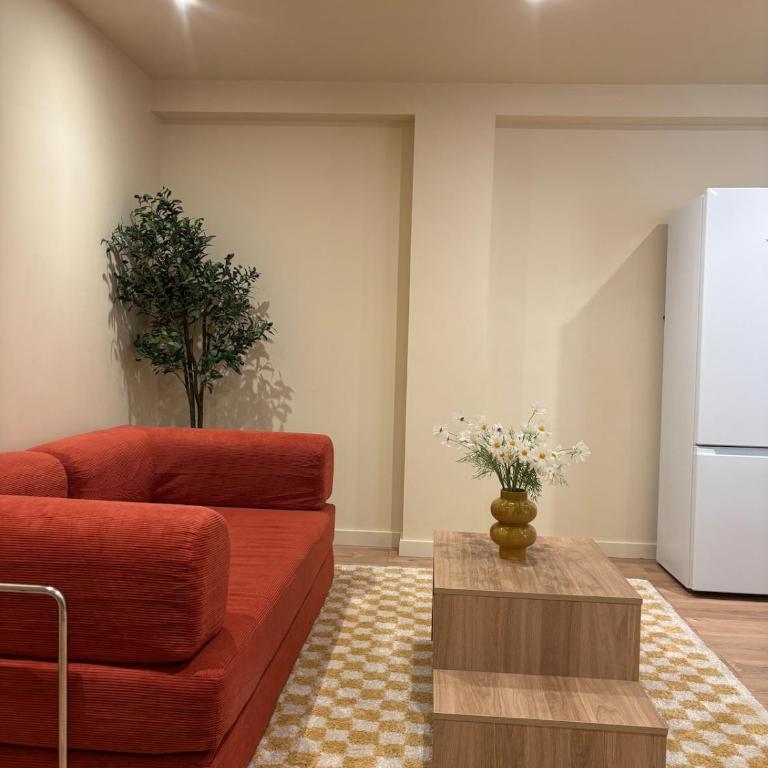 L'Olivier - appartement cozy au centre de Poitiers - Appartement 1 Chambre - 55