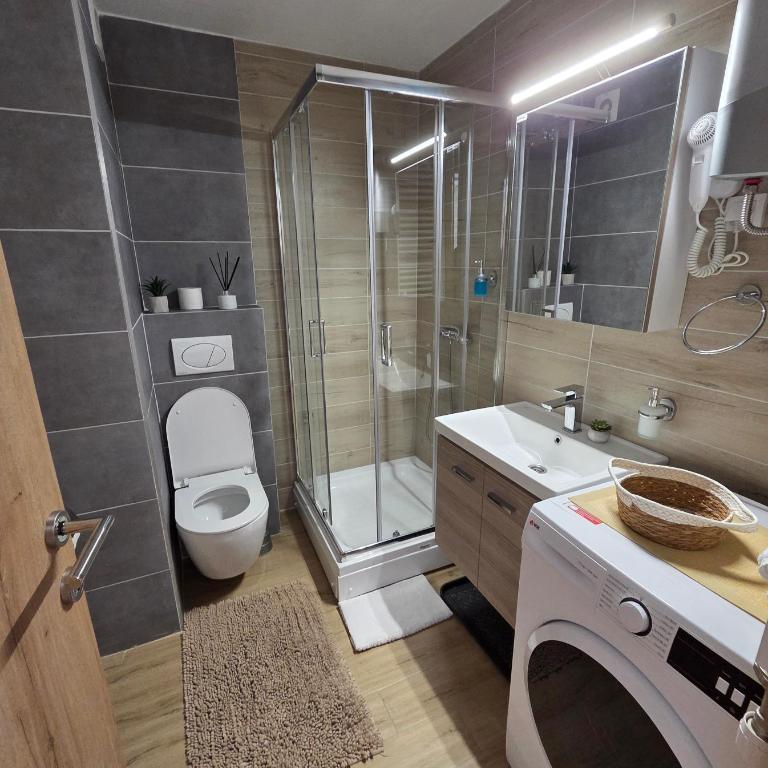 Green Hill Isidorovic Divcibare - Apartman sa 1 Spavaćom Sobom - 42