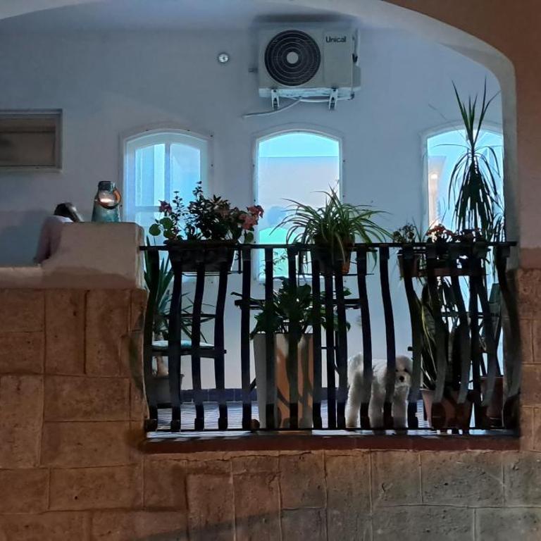 Monolocale Sicily - Appartamento con 1 Camera da Letto - 31