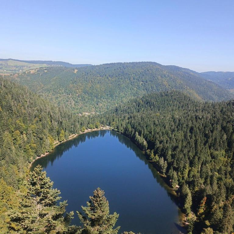 Chalet Bois le Havre du sotrè Gérardmer Sauna panoramique jacuzzi 14 personnes et 1 bébé - Chalet Superior - 78