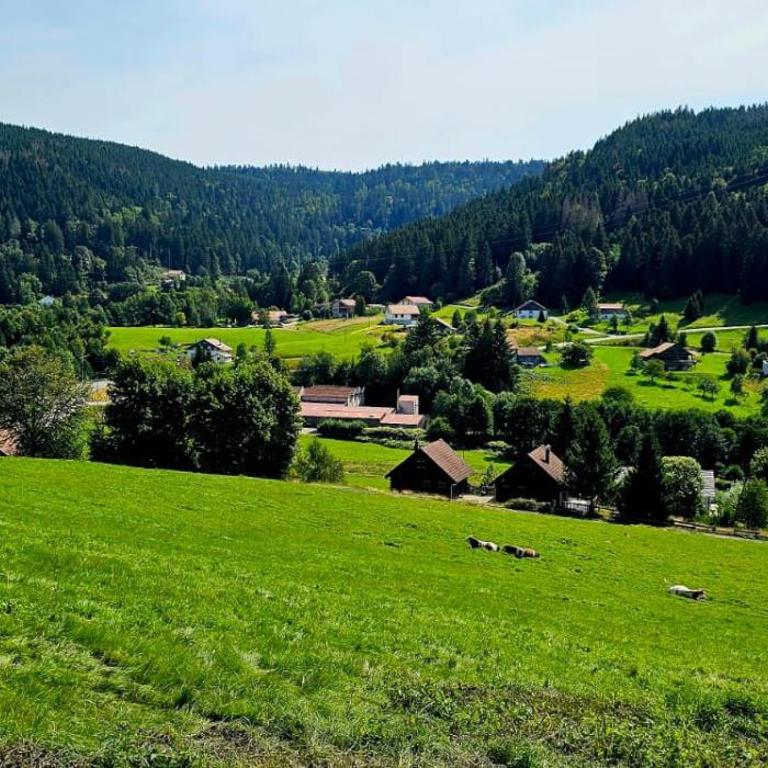 Chalet Bois le Havre du sotrè Gérardmer Sauna panoramique jacuzzi 14 personnes et 1 bébé - Chalet Superior - 89