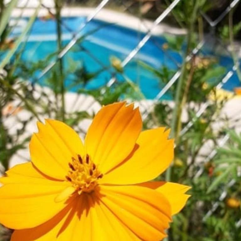 Cabañas La Petunia - Apartamento de 2 dormitorios - 8