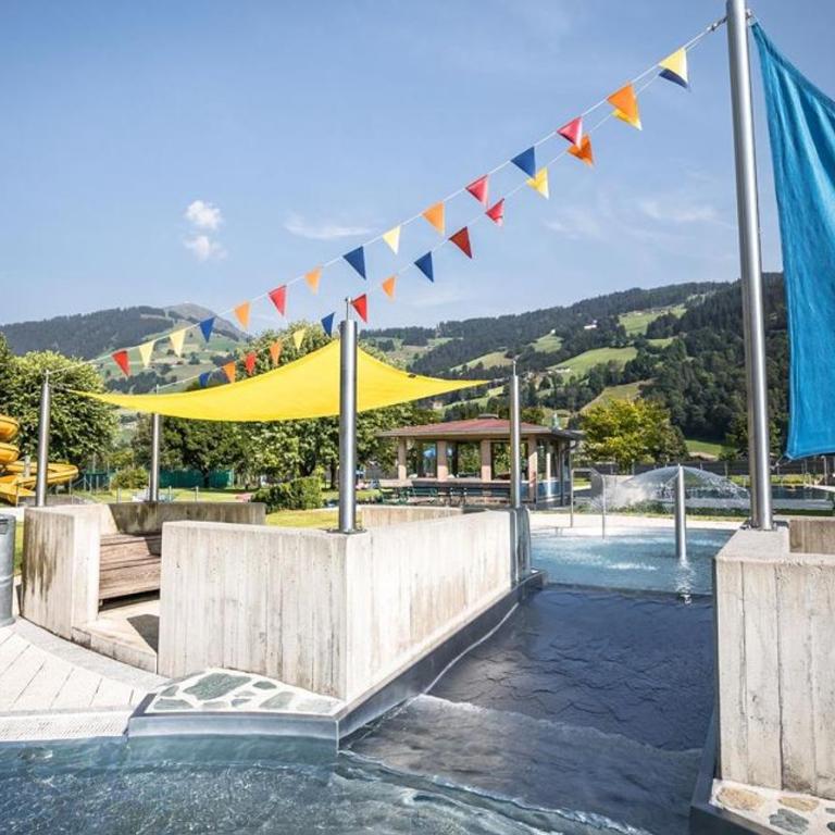 Alpenchalet zurHinterochsenweide SKI IN & SKI OUT - Apartment mit 2 Schlafzimmern und Dusche - 99