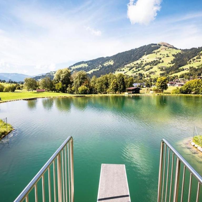 Alpenchalet zurHinterochsenweide SKI IN & SKI OUT - Apartment mit 2 Schlafzimmern und Dusche - 97