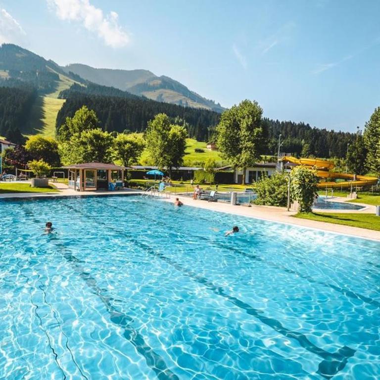 Alpenchalet zurHinterochsenweide SKI IN & SKI OUT - Apartment mit 2 Schlafzimmern und Dusche - 95