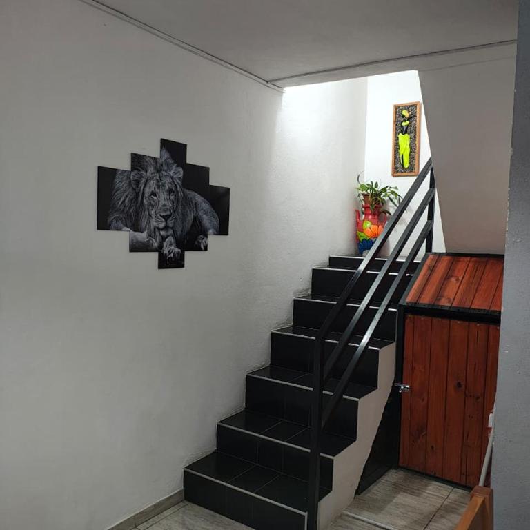 El mirador natural - One-Bedroom House - 9