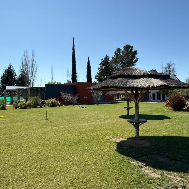 Bodega & Finca Pasquinelli - Casa de 2 dormitorios - 3