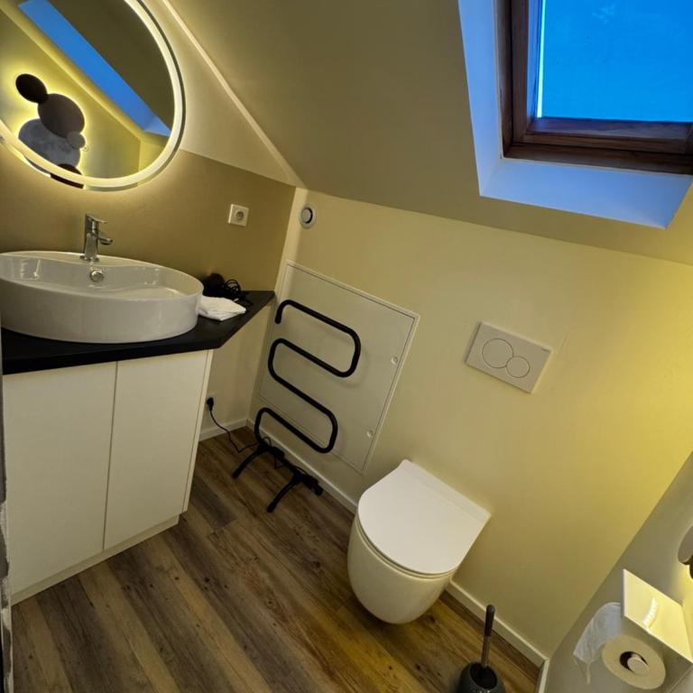 Just In Colmar, maison complète avec parking privé - Maison 3 Chambres - 23