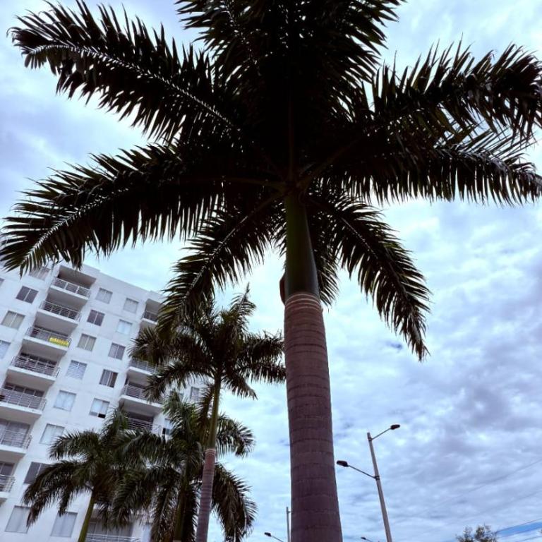 Aqualina Orange PH - Apartamento de 3 dormitorios - 25