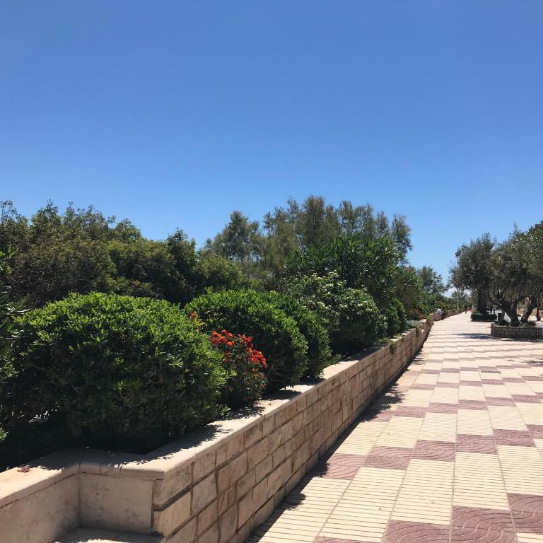 Canet - Primera Línea de Playa - Tu Rincón de Relax - Appartement 2 Chambres - 21