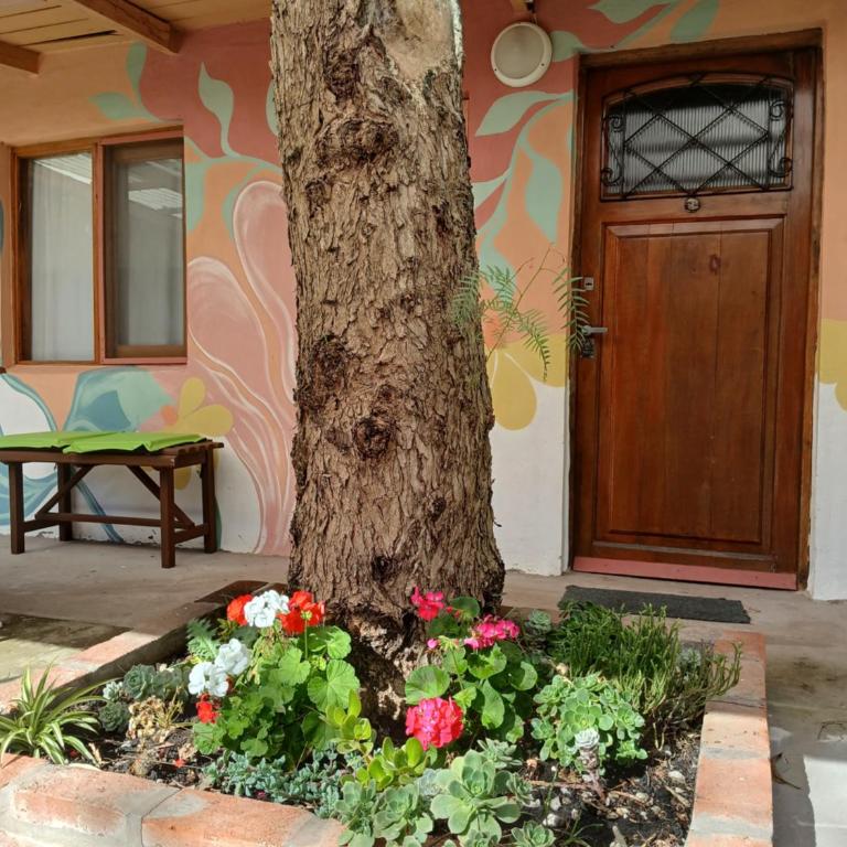 Bosque Pequeño - Casa con 1 dormitorio - 2