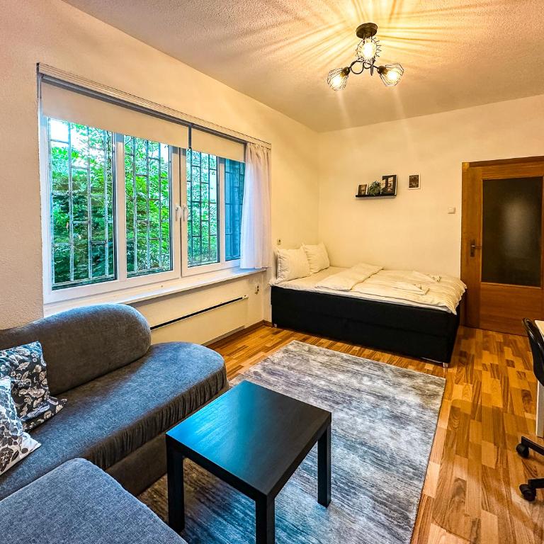 Cozy Studio in the City Center - Apartman sa 1 Spavaćom Sobom - 2