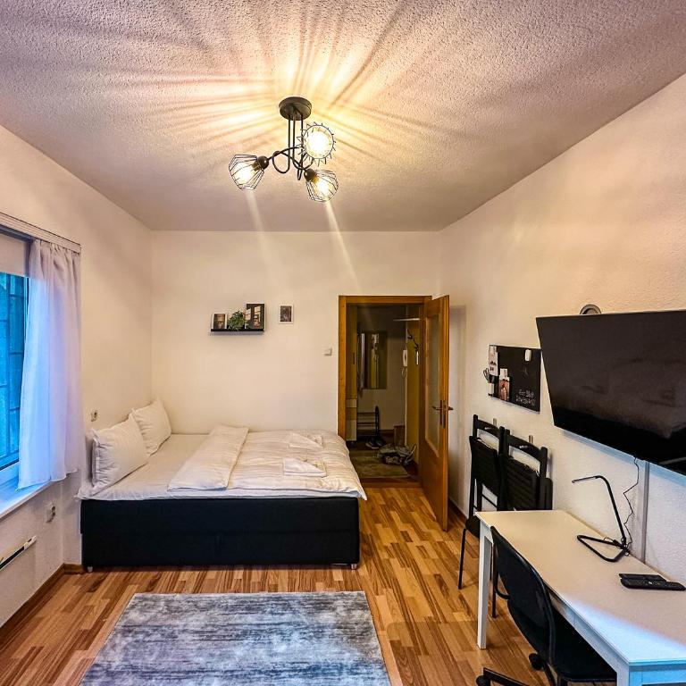 Cozy Studio in the City Center - Apartman sa 1 Spavaćom Sobom - 3
