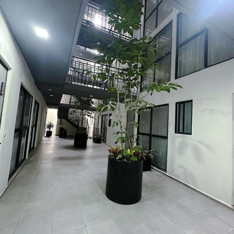 apartment in downtown Mexico City - Apartamento de 2 dormitorios - 16