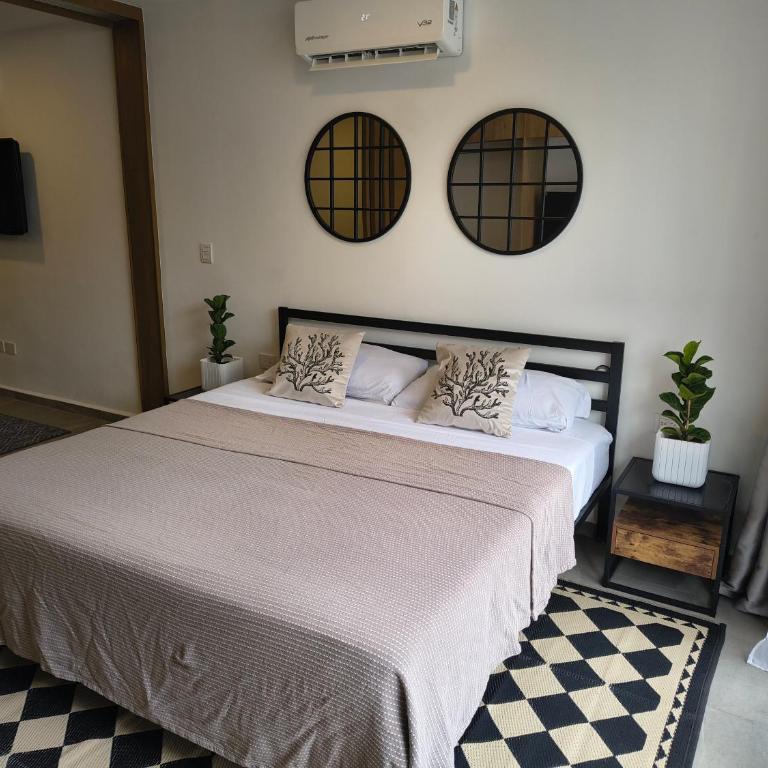 Erudita 12 Mérida Yucatan - One-Bedroom Apartment - 8
